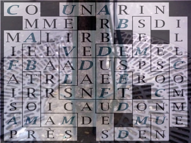 COMME UN ARBRE DANS LA VILLE-let