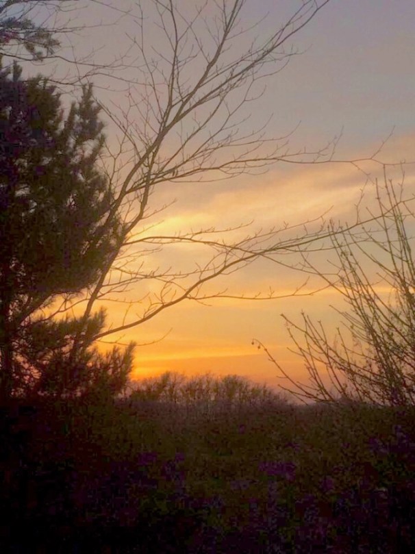 image - wonderfull word - marie christine grimard